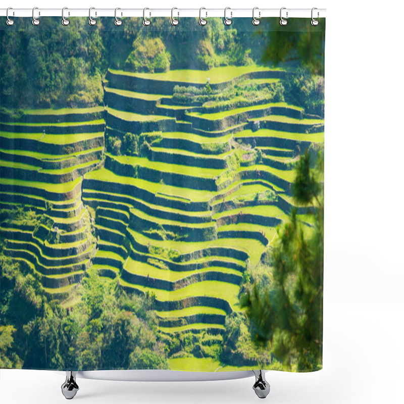 Personality  Rice Terraces In The Philippines. Rice Cultivation In The North  Shower Curtains