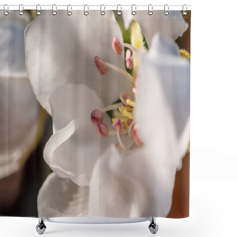 Personality  Close-up Of A Delicate White Flower, Revealing Intricate Details Of Its Pistils And Stamens. Shower Curtains