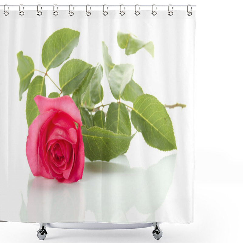 Personality  Single Red Rose Shower Curtains