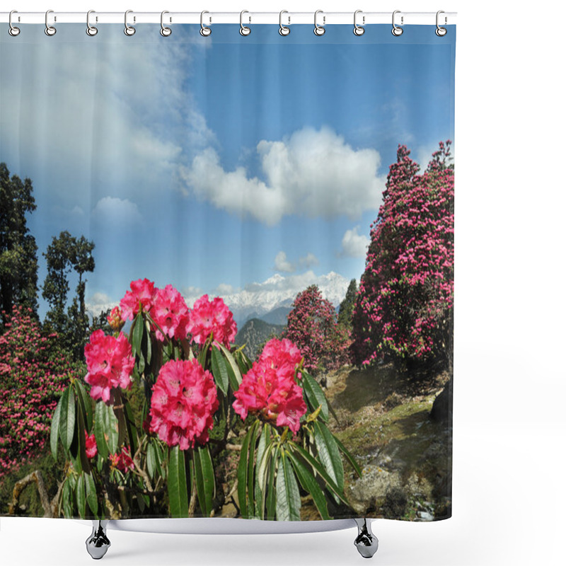 Personality  Rhododendron Flowers Against Of The Sky In The Clouds Shower Curtains