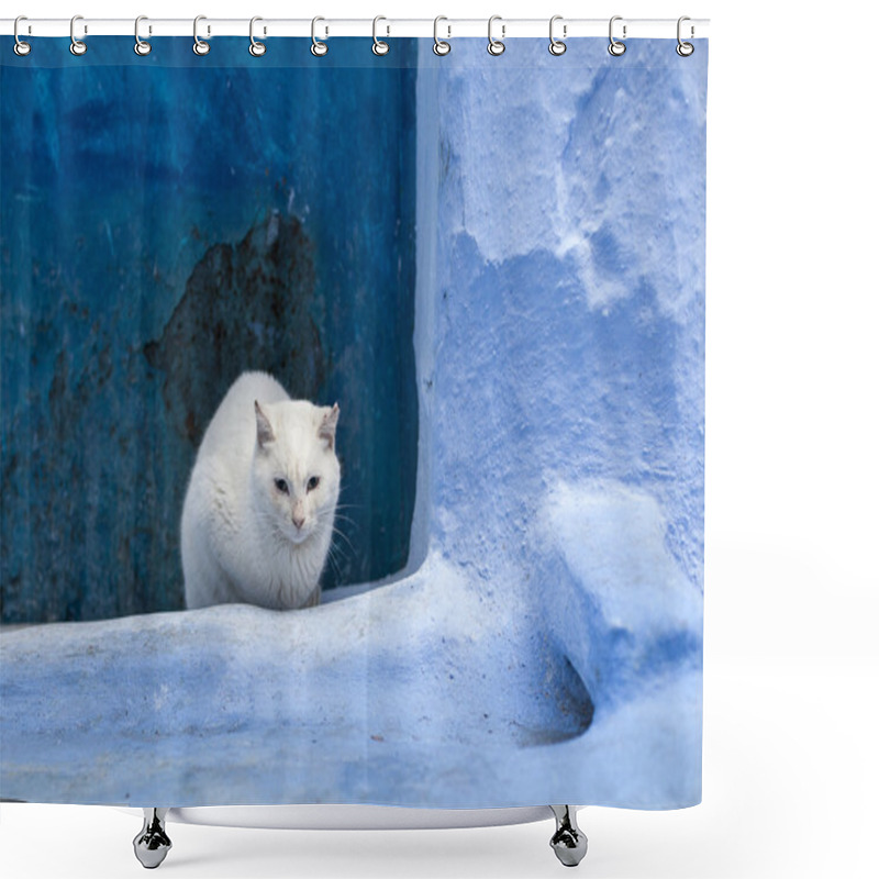 Personality  Cats On Street In Medina Of Blue Town Chefchaouen, Morocco Shower Curtains