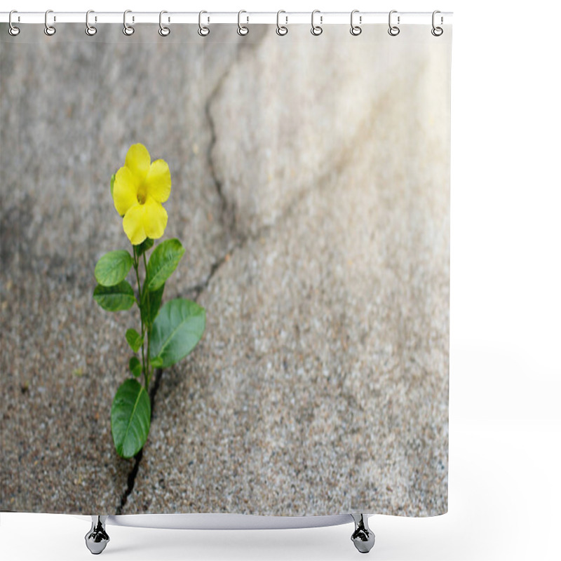 Personality  Yellow Flower Growing On Crack Street, Hope Concept Shower Curtains