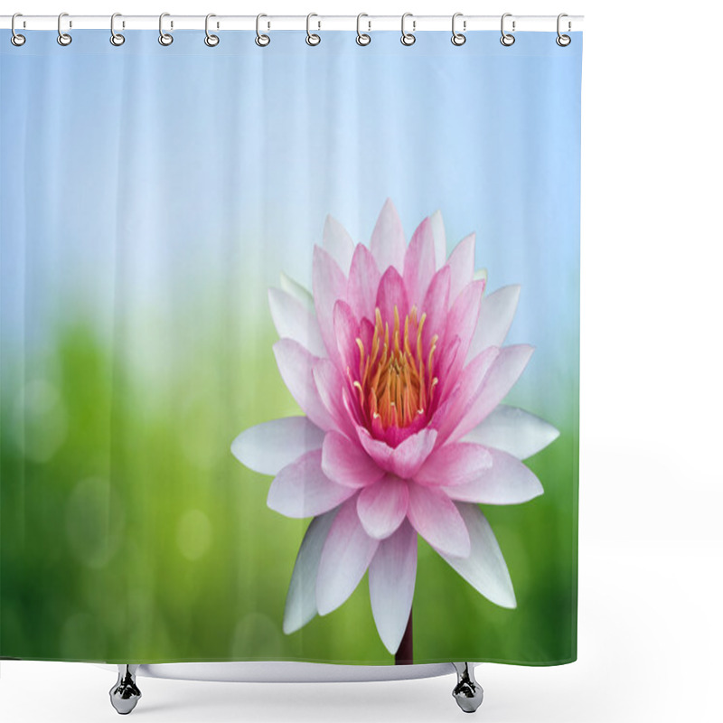 Personality  Red Lotus On Spring Background Shower Curtains