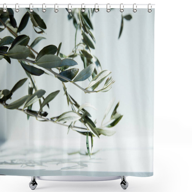 Personality  Close Up View Of Olive Branches Over White Surface With Shadow Of Leaves Shower Curtains