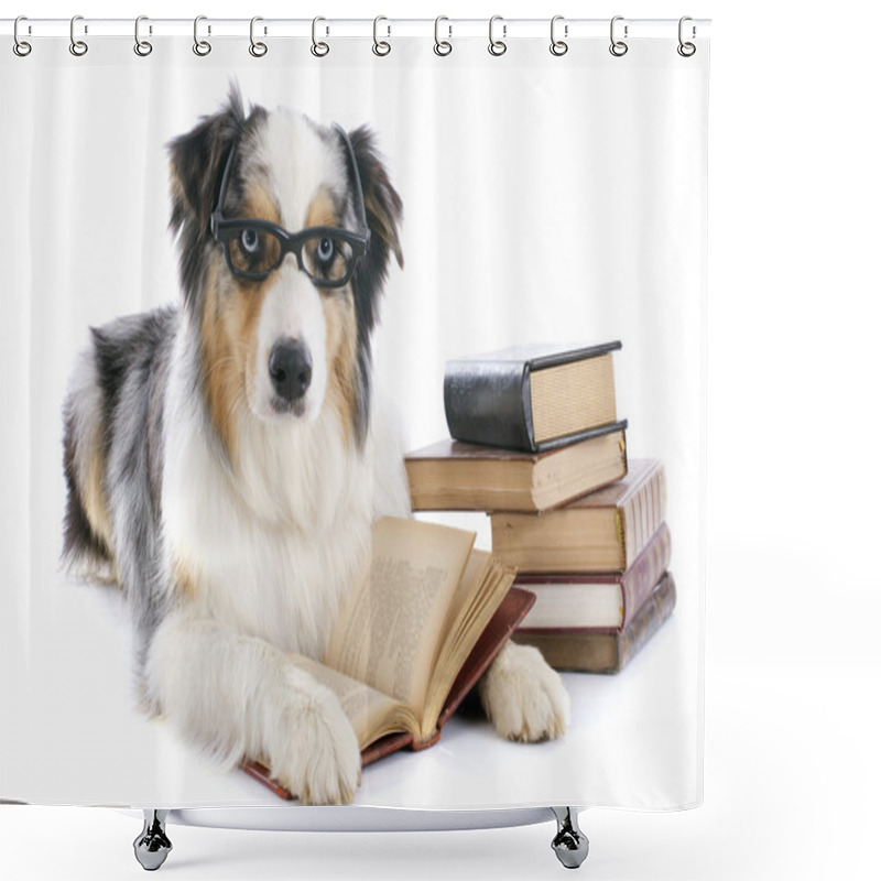 Personality  Australian Shepherd And Books Shower Curtains