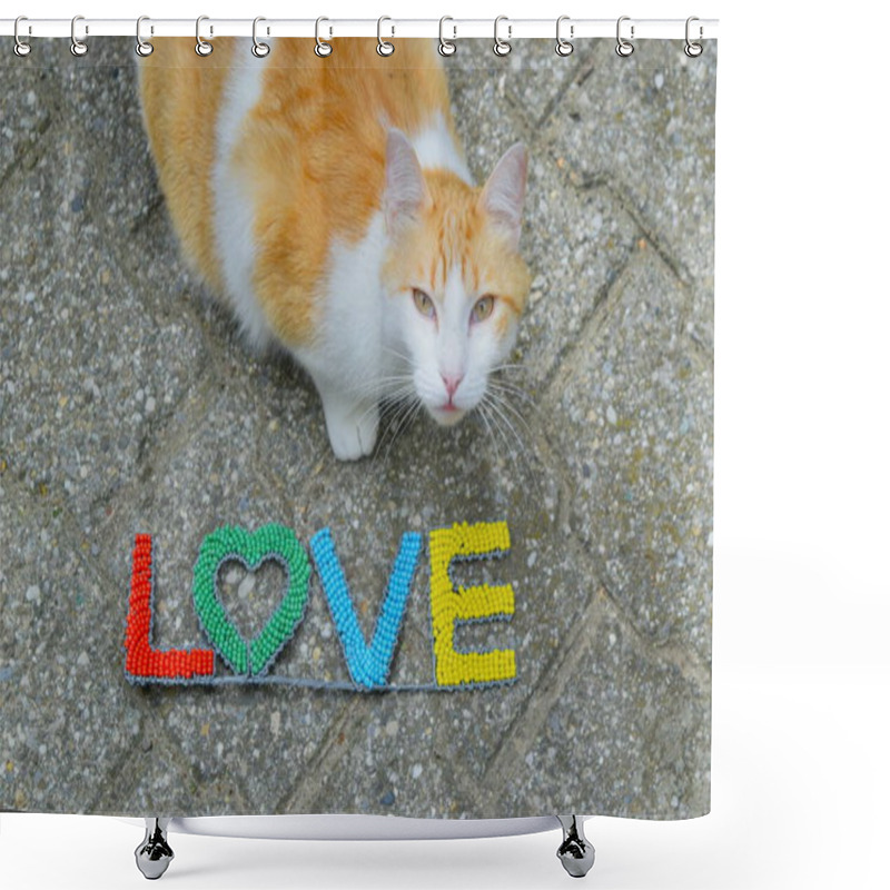 Personality  Funny Cat With Love Sign St Valentine Image. Shower Curtains