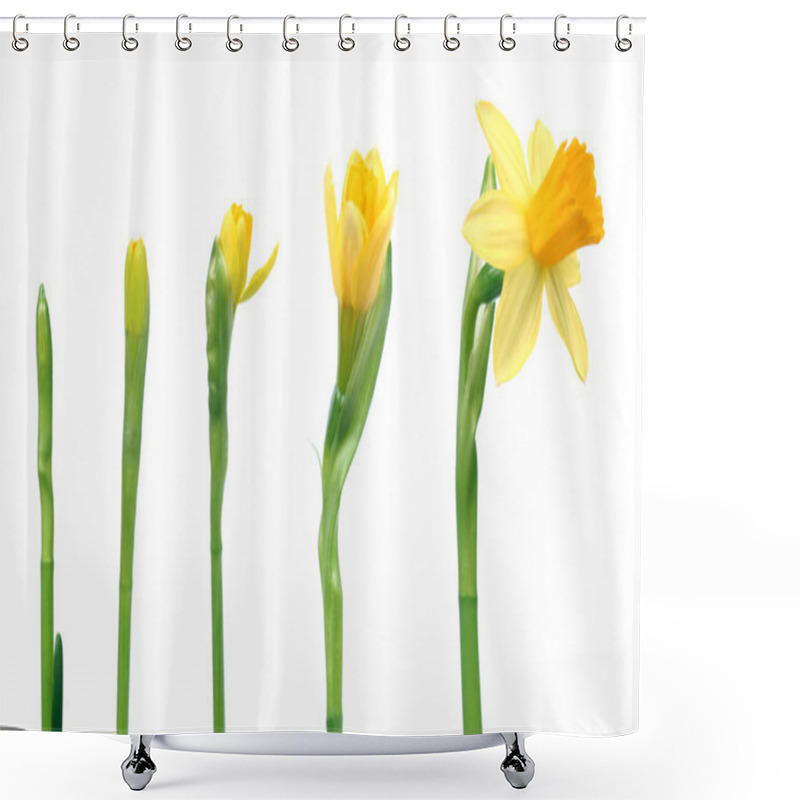 Personality  Spring Is Coming Shower Curtains