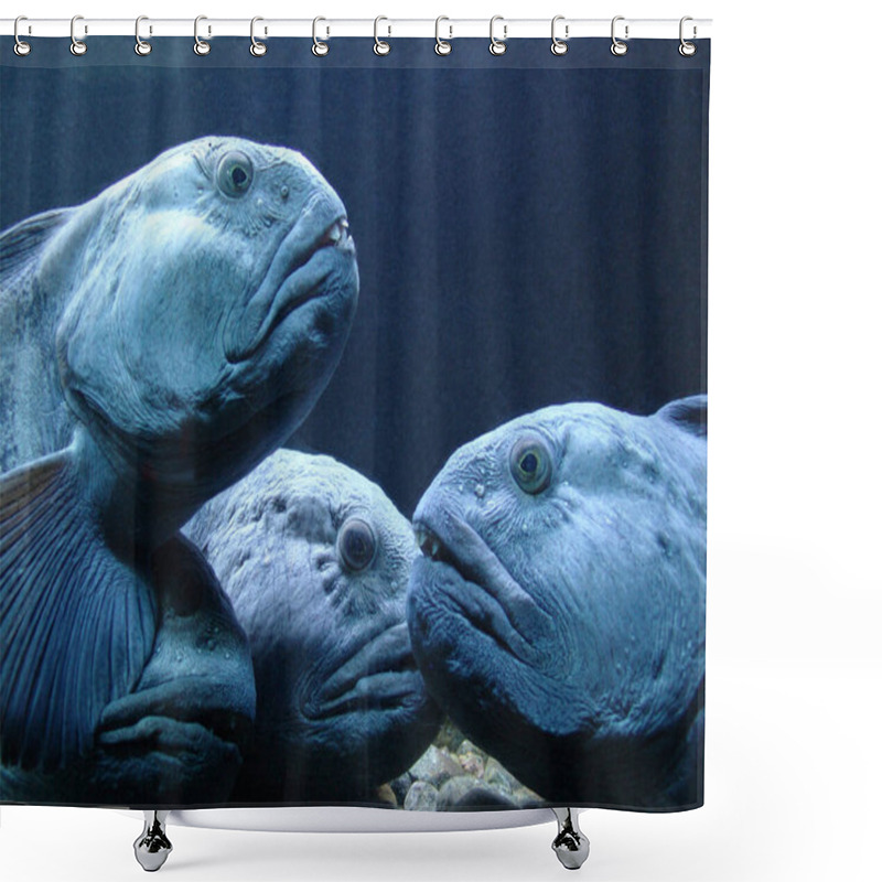 Personality  A Group Of Wild Turtles Shower Curtains