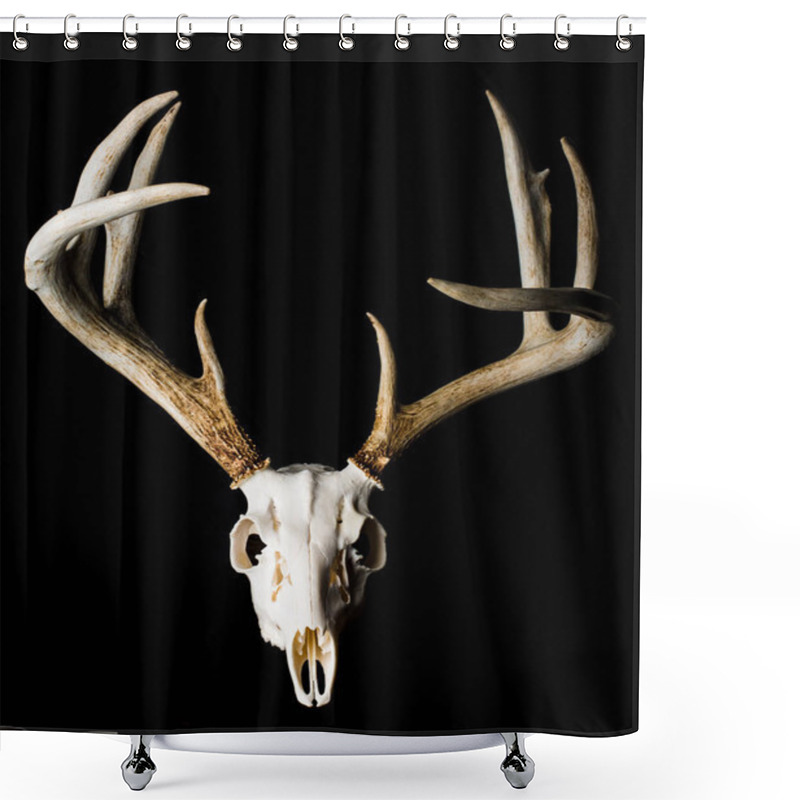 Personality  Close Up Of Deer Skull On Black Background Front View Shower Curtains