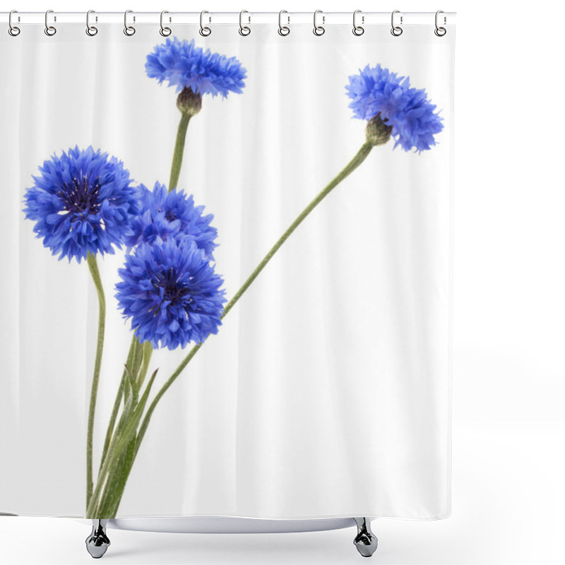 Personality  Blue Cornflowers Herb Shower Curtains