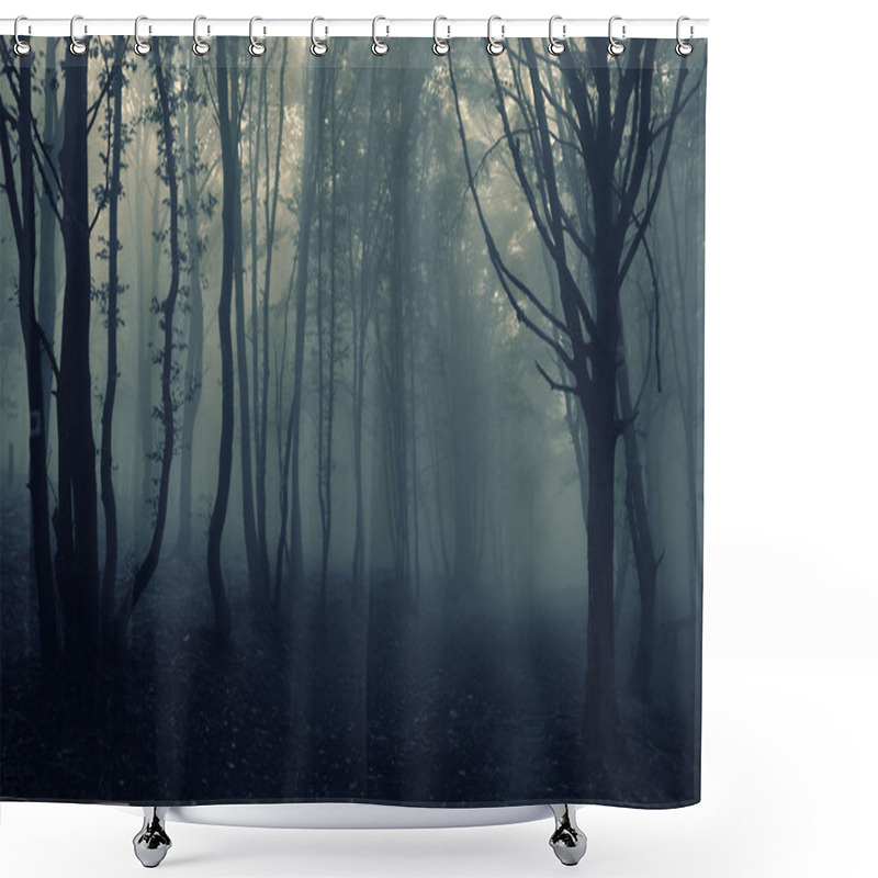 Personality  Dark Mysterious Forest With Fog In Autumn Shower Curtains