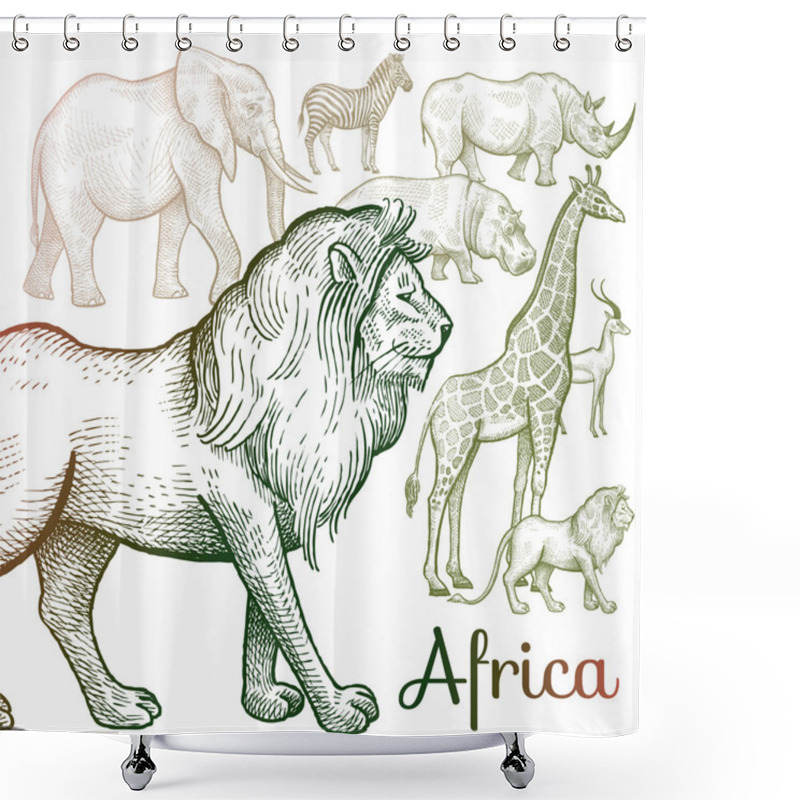 Personality  Illustration Of African Animals. Shower Curtains