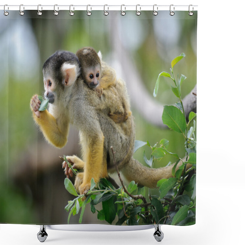 Personality  Squirrel Monkey With Its Baby Shower Curtains