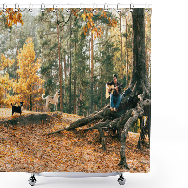 Personality  Man Playing Acoustic Guitar While Sitting On Tree In Park With Dogs Shower Curtains