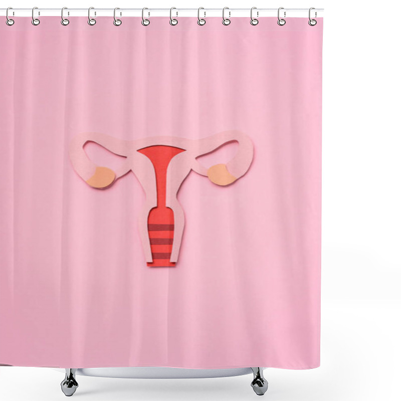 Personality  Elevated View Of Female Reproductive System On Pink Shower Curtains