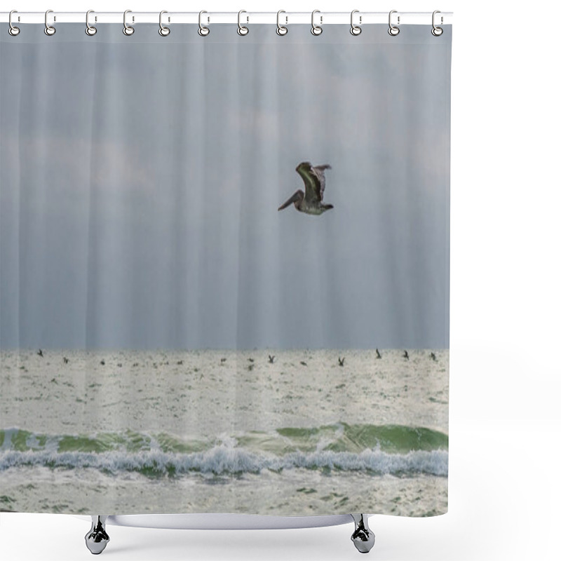 Personality  Pelican Glides Over Early Morning Surf Shower Curtains