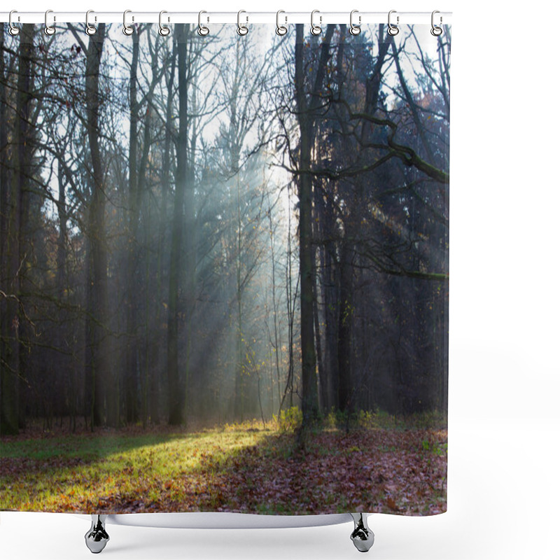 Personality  Forest With Morning Fog. Shower Curtains