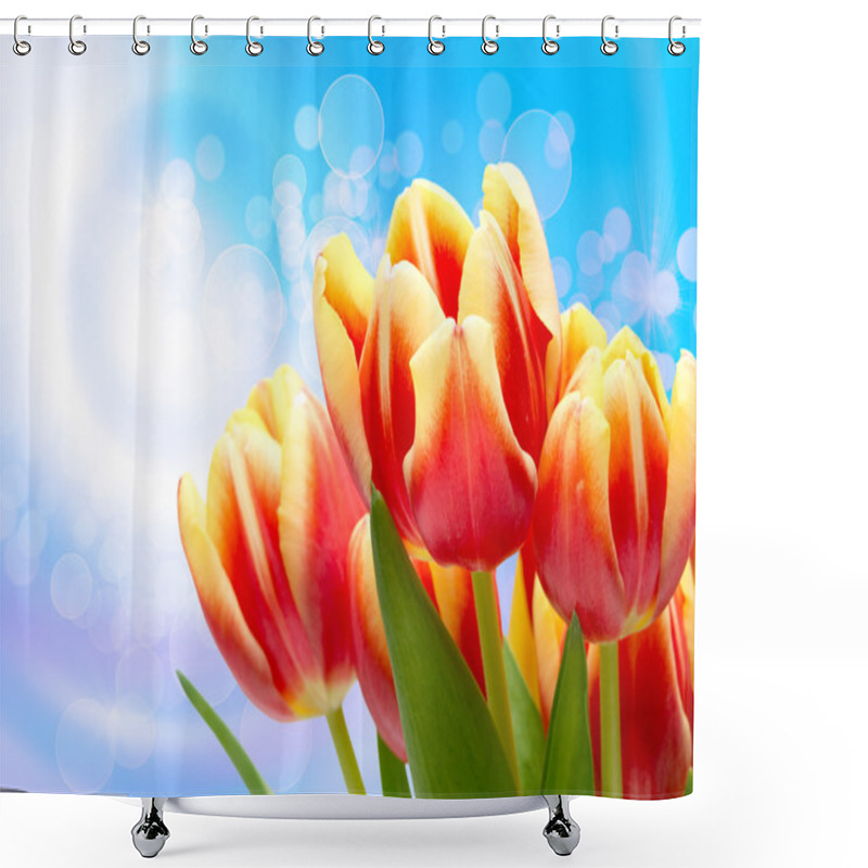 Personality  Tulip Flowers Shower Curtains