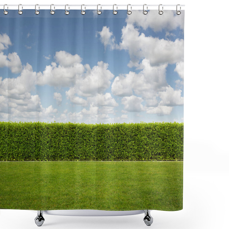 Personality  Back Yard, Close Up Of Hedge Fence On The Grass With Copy Space Shower Curtains