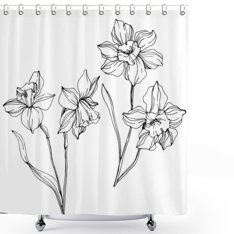 Personality  Vector Narcissus Flowers Illustration Isolated On White. Black And White Engraved Ink Art.  Shower Curtains