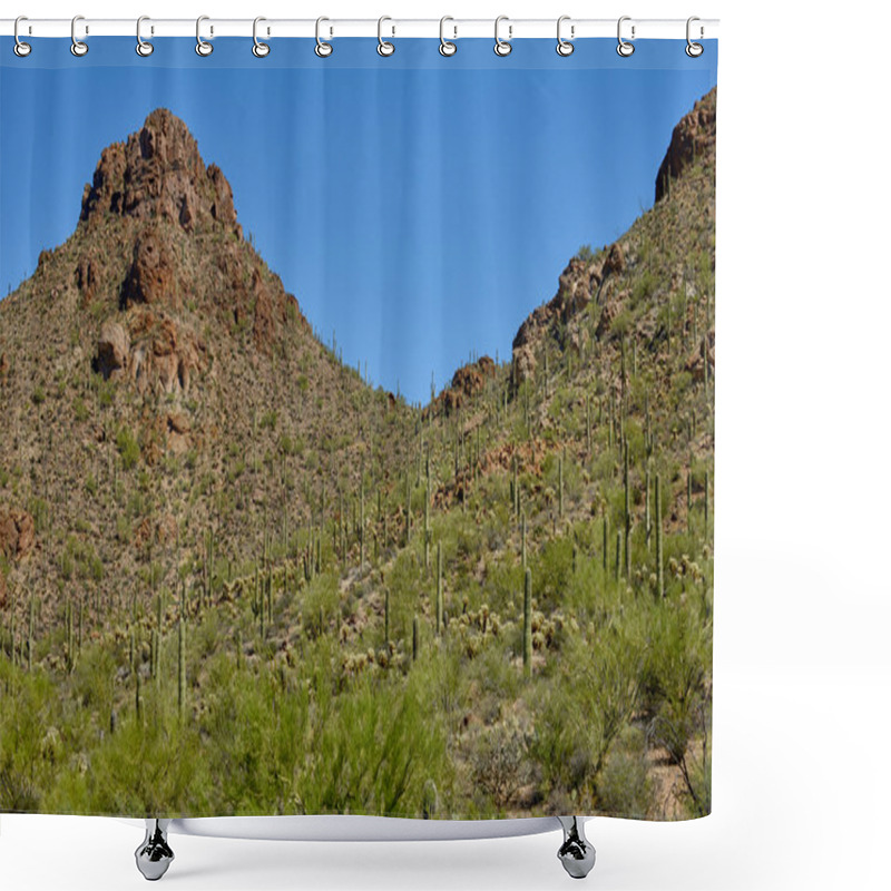 Personality  Saguaro National Park Shower Curtains