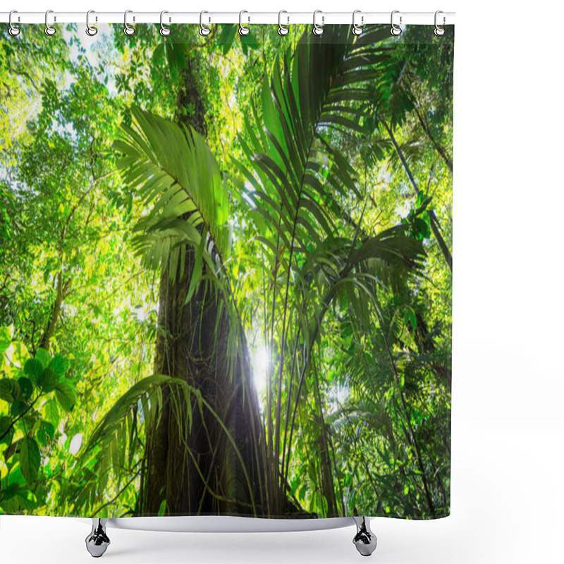 Personality  Jungle In Hawaii Nature Recreation Shower Curtains