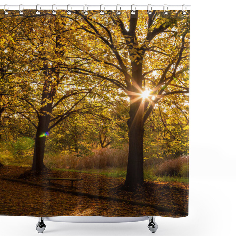 Personality  Autumn Sunny Alley In The Leaves, Through The Trees The Sun Brea Shower Curtains