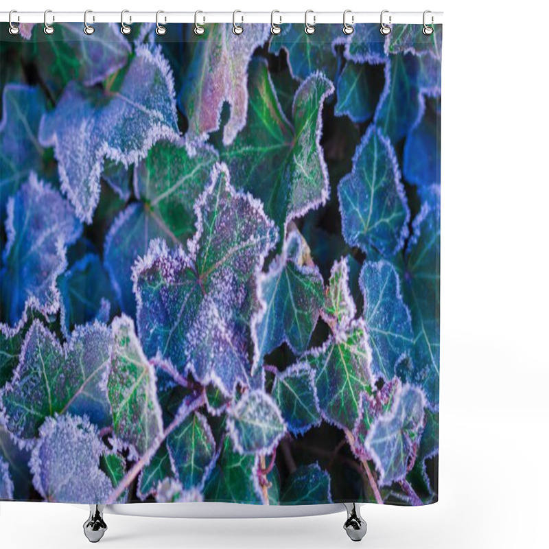 Personality  Macro - Frozen Ivy Leaves, Winter Garden Shower Curtains