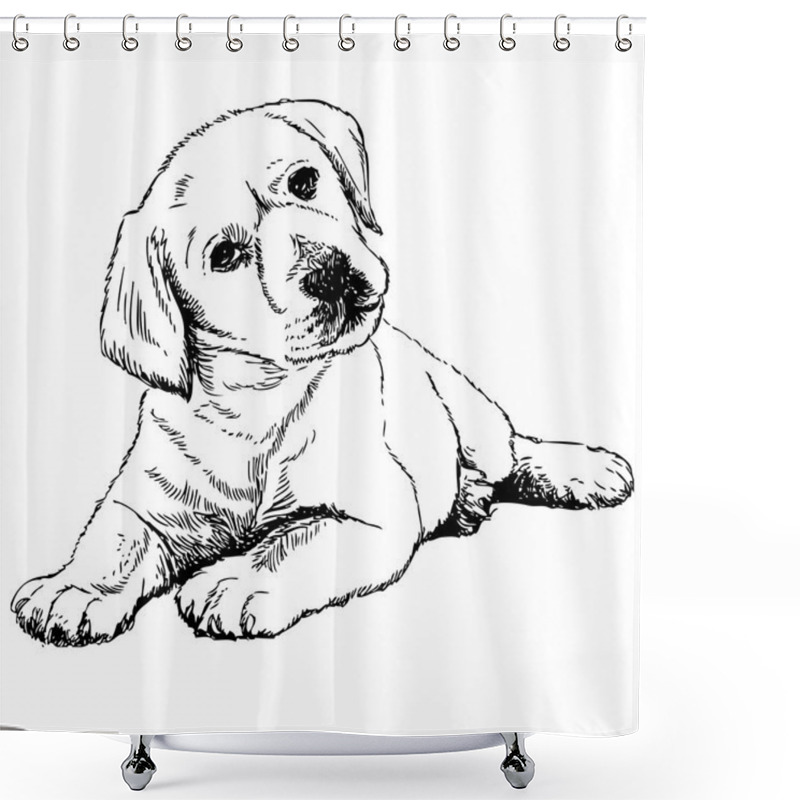 Personality  Labrador Retriever Shower Curtains