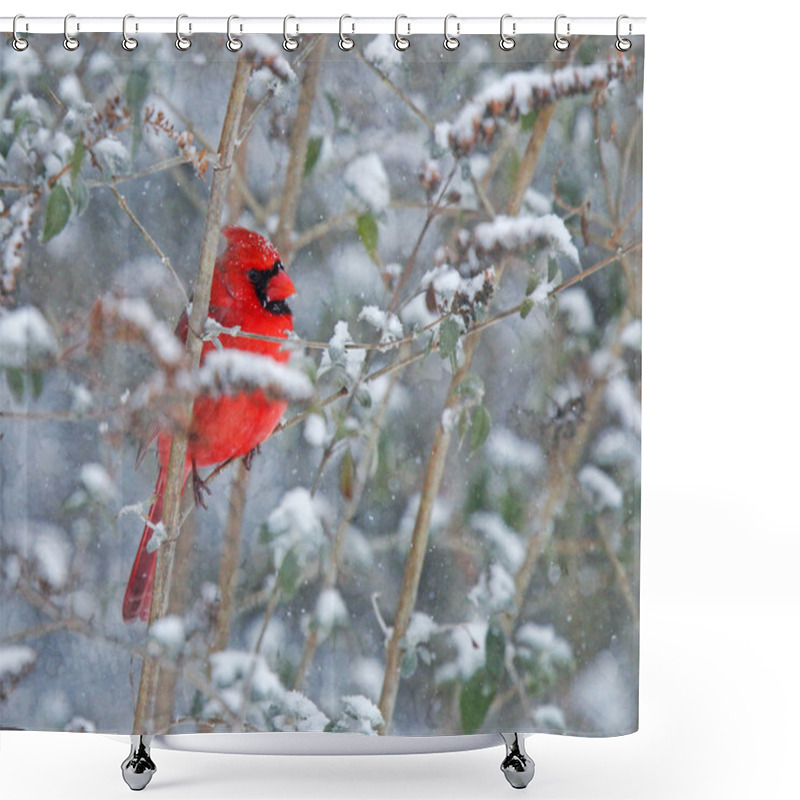 Personality  Red Cardinal In The Snow Shower Curtains