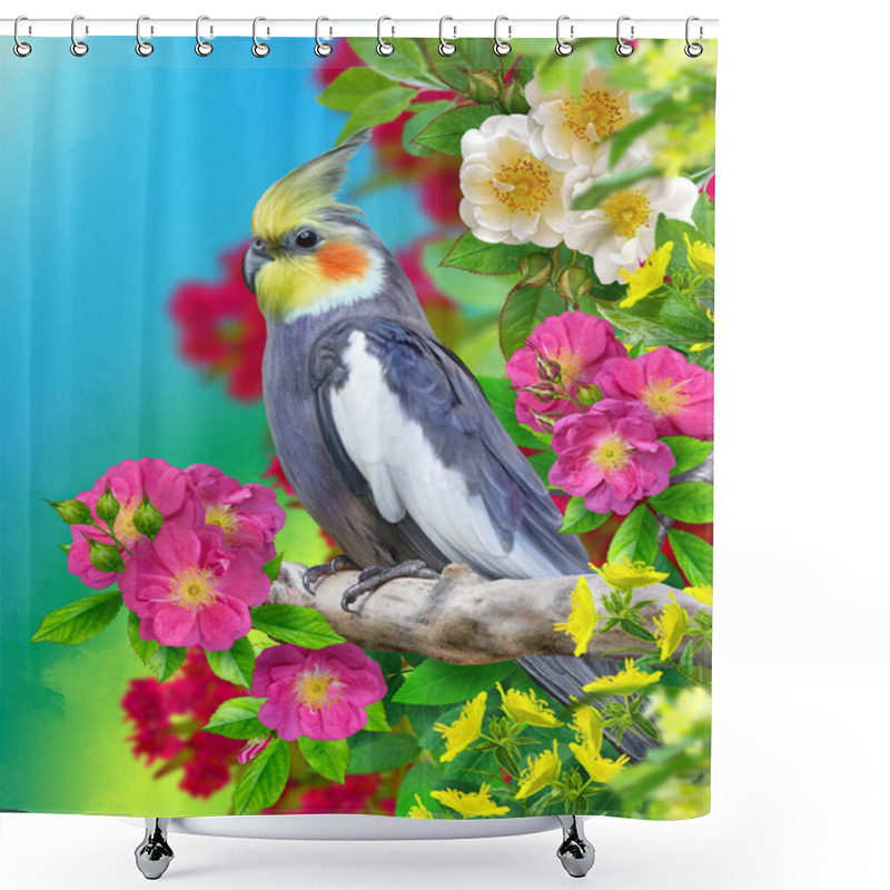 Personality  Summer, Exotic, Tropical Background, Gray Parrot Bird Sits On A Branch, Blooming Pink Roses, Colorful Flowers, Sunny Day Shower Curtains