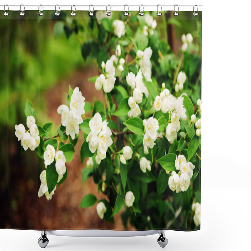 Personality  White Flowers Of Mock Orange Shrub (Philadelphus) Blooming In Summer Garden Shower Curtains