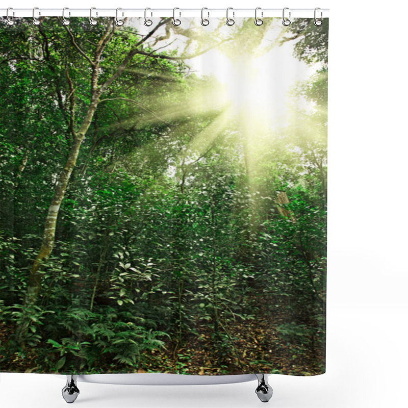 Personality  Sunlight In Tropical Jungle Forest Shower Curtains