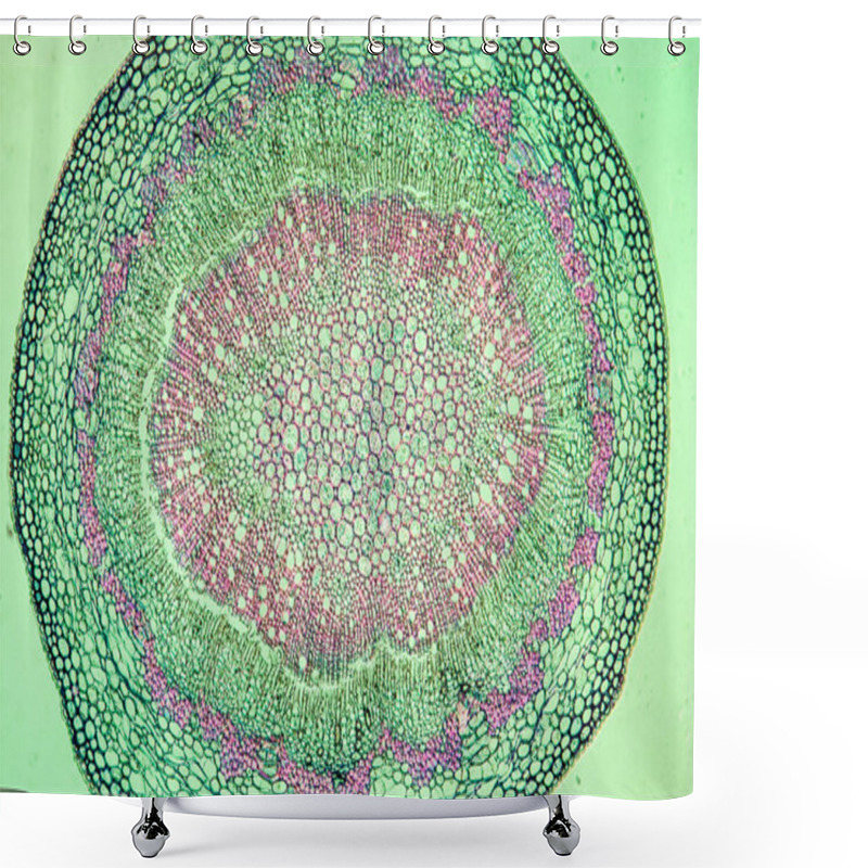 Personality  Macro Shot, Microscopic Cells Surface Background  Shower Curtains