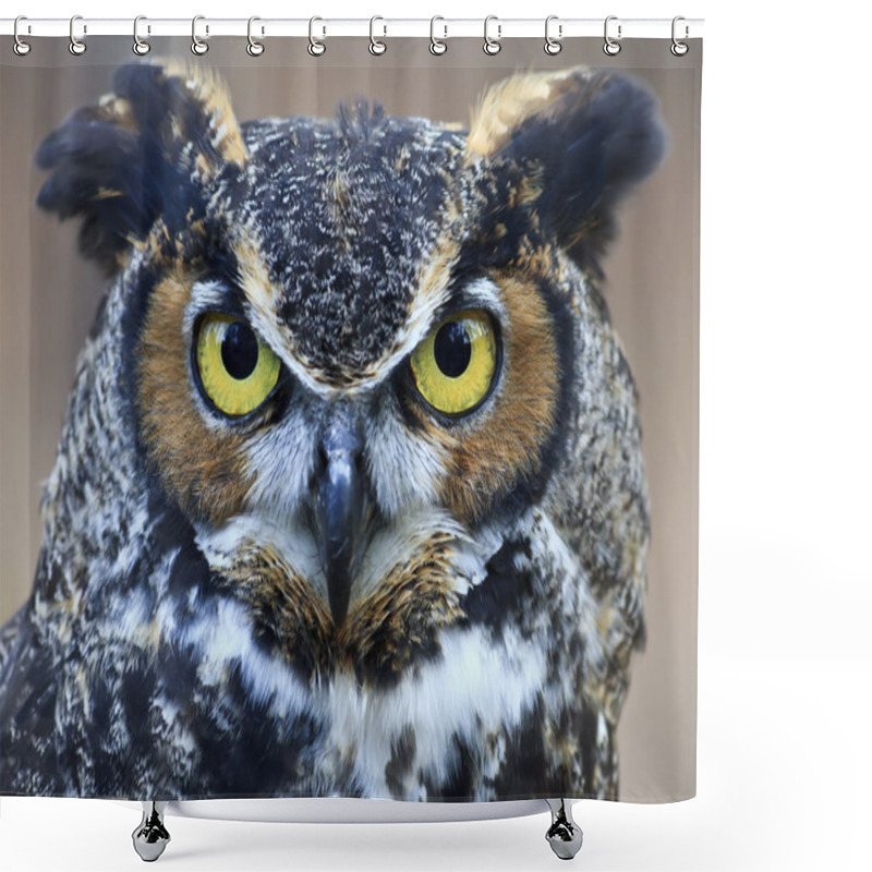 Personality  Great Horned Owl Shower Curtains