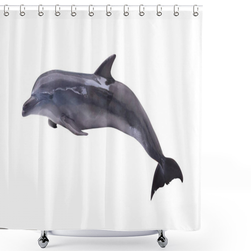 Personality  Dark Grey Isolated Dolphin Shower Curtains