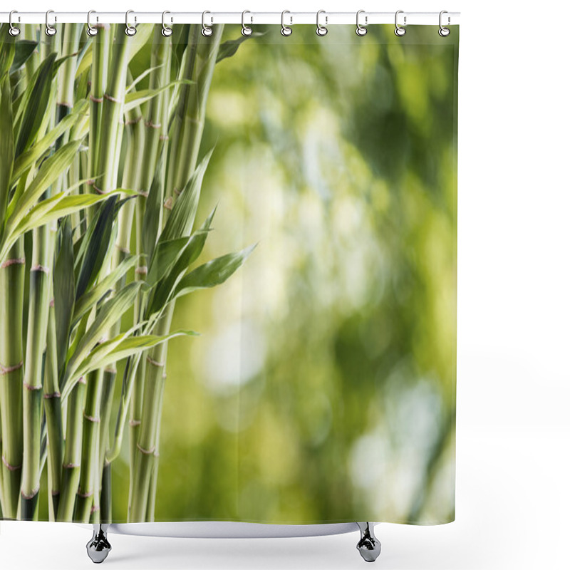 Personality  Fresh Green Bamboo Shower Curtains