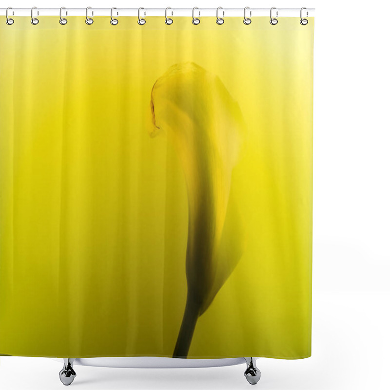 Personality  Close-up View Of Beautiful Calla Lily Flower In Yellow Ink Shower Curtains