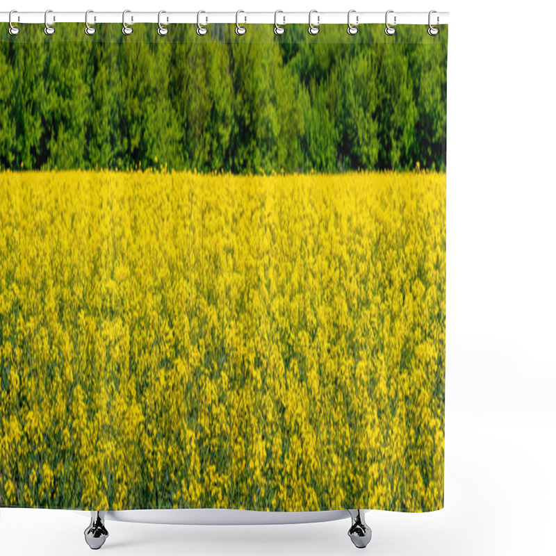 Personality  Yellow Rapeseed Flowers In A Field Against A Background Of Green Trees Shower Curtains