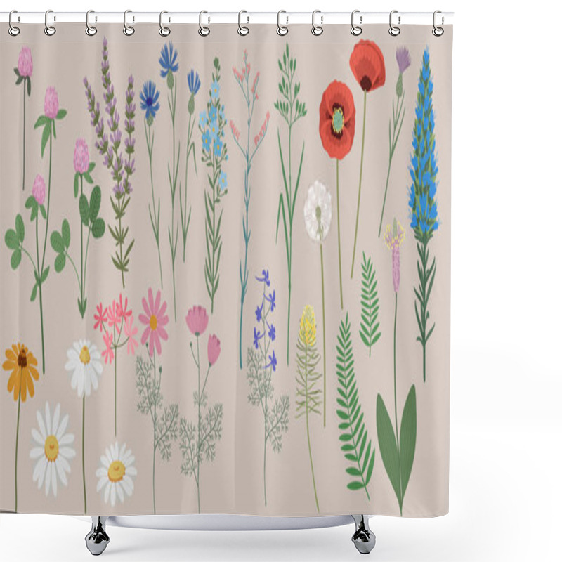 Personality  Hand Drawn Vector Illustration. Set Of Isolated Summer Wildflowers. Blossom Meadow Shower Curtains