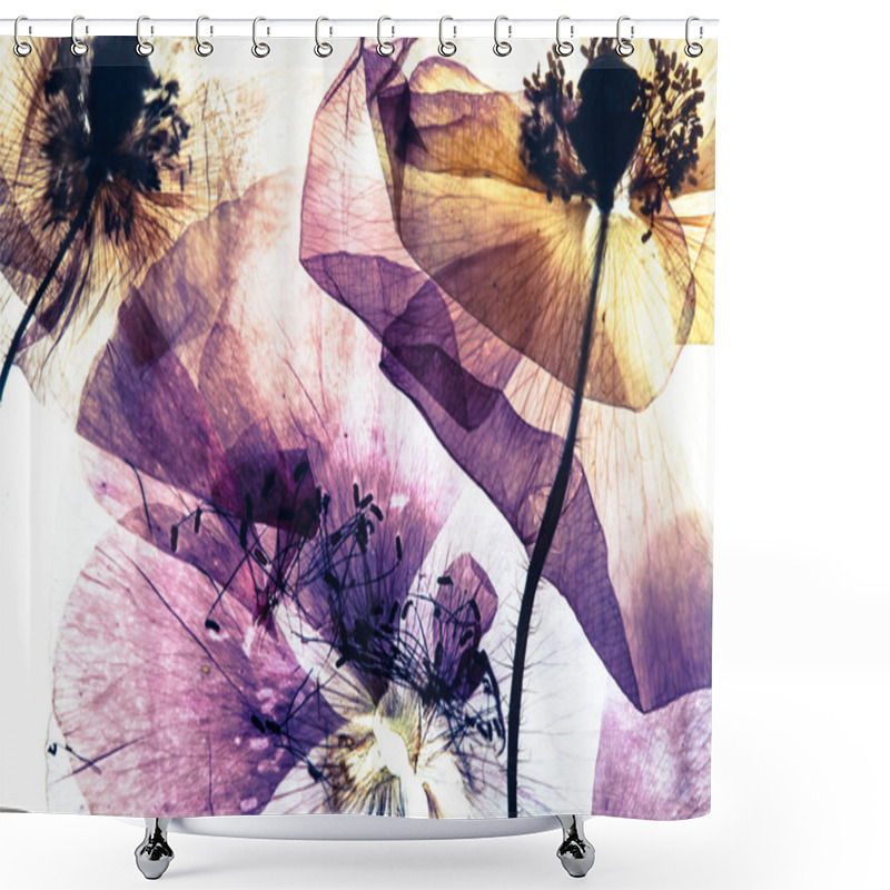 Personality  Beautiful Dry Poppies Shower Curtains