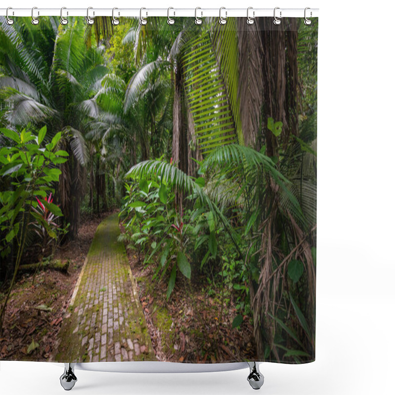 Personality  Amazon. Tropical Rainforest. Jungle Landscape. Amazon Yasuni National Park, Ecuador. South America. Shower Curtains