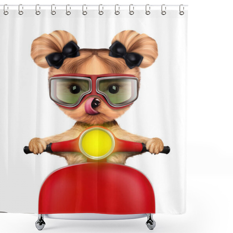 Personality  Adorable Girl Of Yorkie Sitting On A Motorbike Shower Curtains