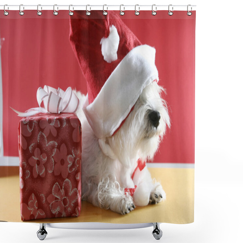 Personality  White Puppy Shower Curtains