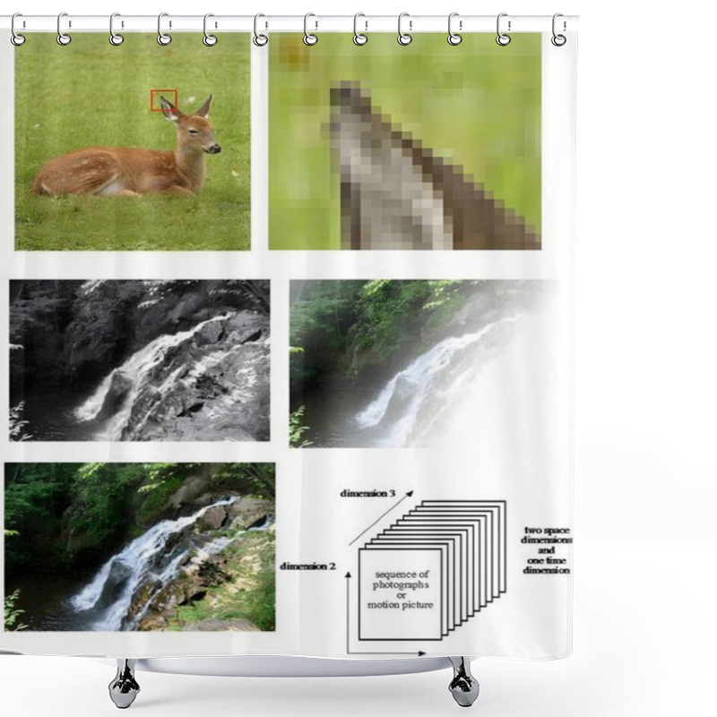 Personality  Image Sequence And Processing Techniques Demonstrated In Pixelation, Grayscale Conversion, And Multi-Dimensional Visual Representation Shower Curtains