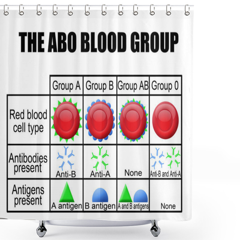 Personality  The ABO Blood Group Diagram Shower Curtains