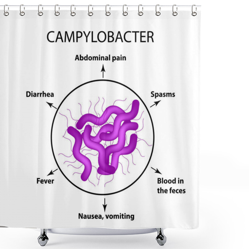 Personality  Campylobacter. Pathogenic Flora. The Bacterium Causes Intestinal Diseases. Symptoms Of Infection. Infographics. Vector Illustration. Shower Curtains