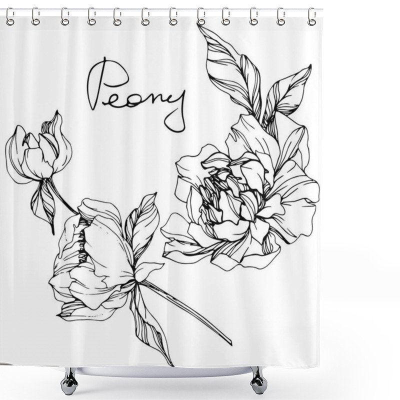 Personality  Vector Isolated Monochrome Peony Flower Sketch And Handwritten Lettering On White Background. Engraved Ink Art.  Shower Curtains