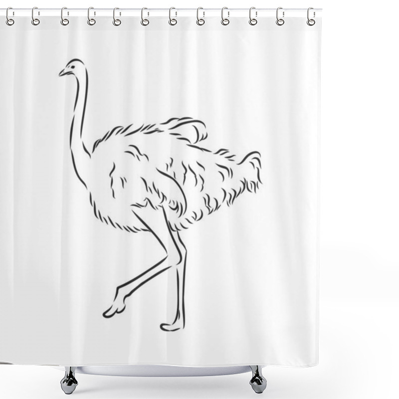 Personality  Vector Illustration. Hand Drawn Realistic Sketch Of Ostrich Shower Curtains