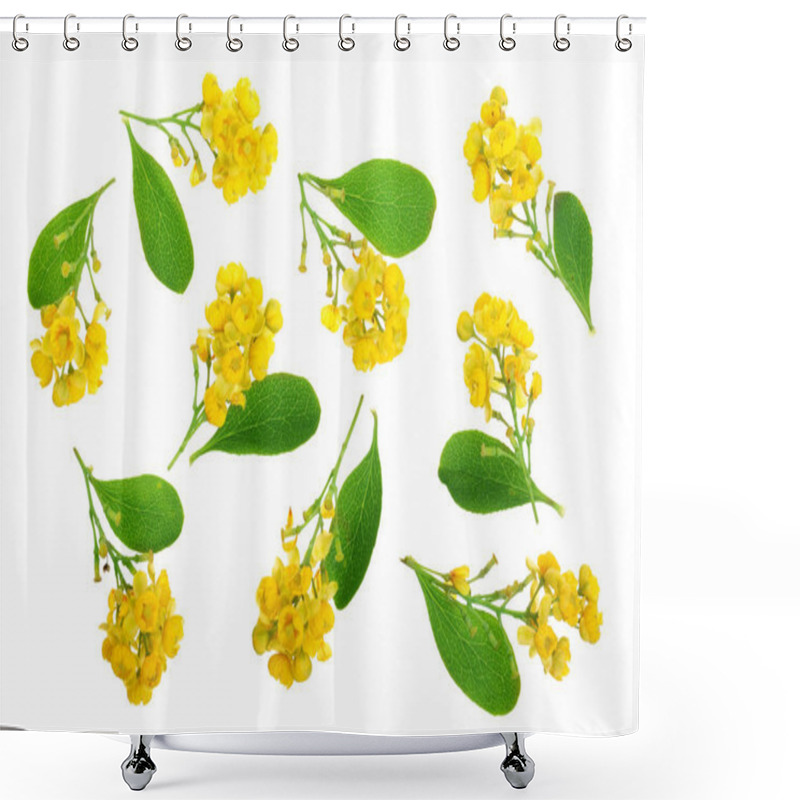 Personality  Flowers Of Barberries With Leaves Isolated On White Background Shower Curtains